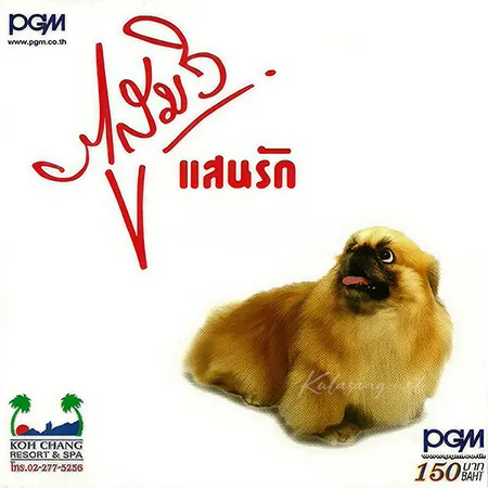 Cover.webp