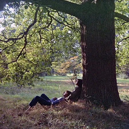 Cover.webp