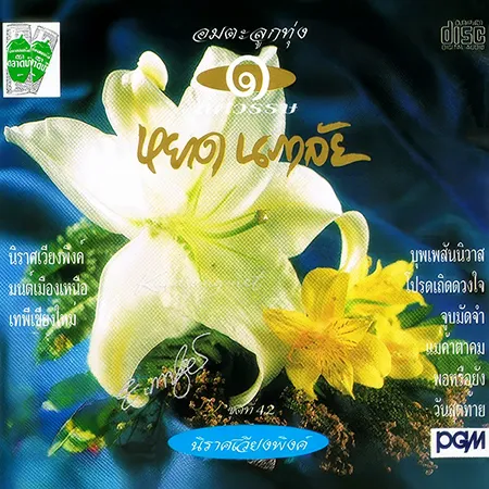 Cover.webp
