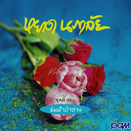 Cover.webp