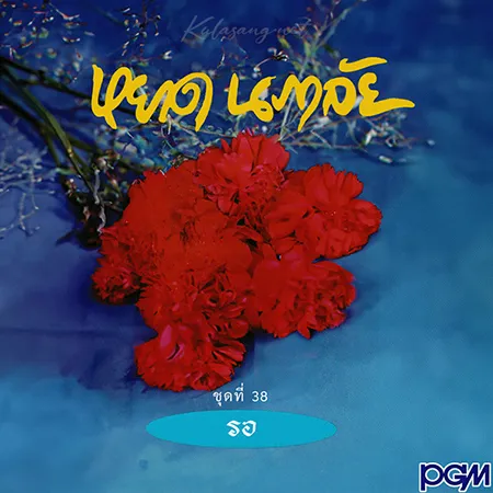 Cover.webp