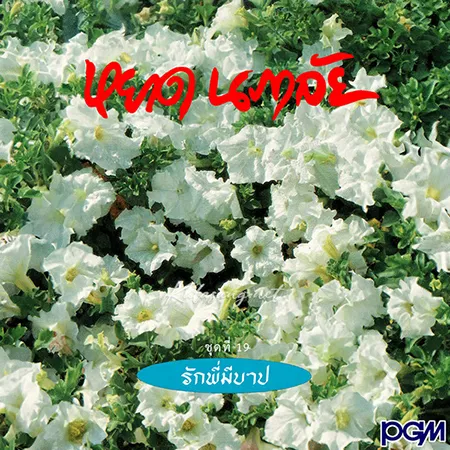Cover.webp