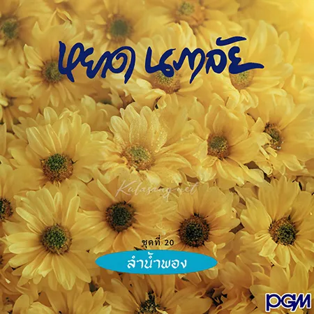Cover.webp
