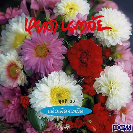 Cover.webp