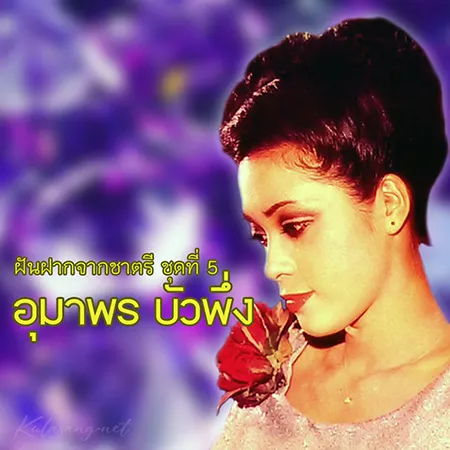 Cover.webp
