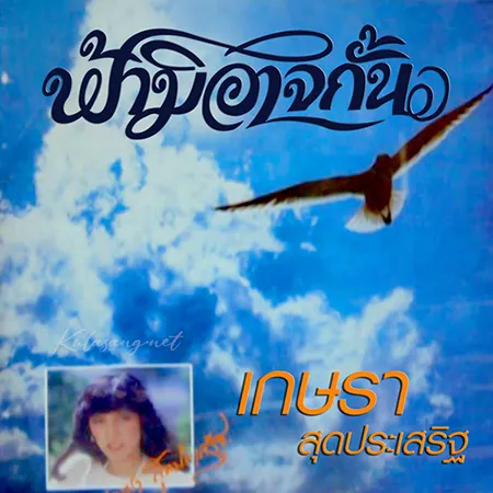 Cover.webp