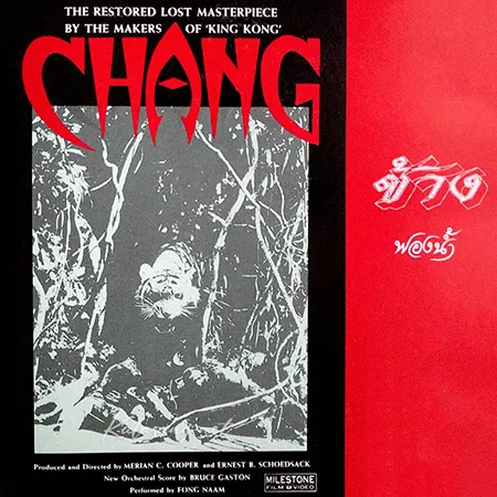 Cover.webp