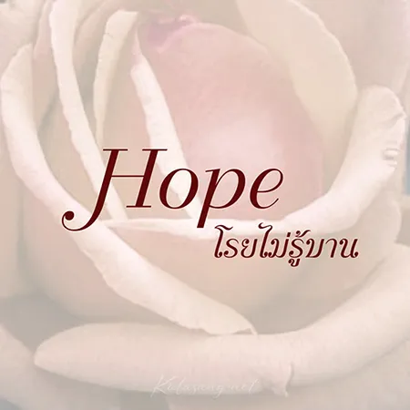 Cover.webp