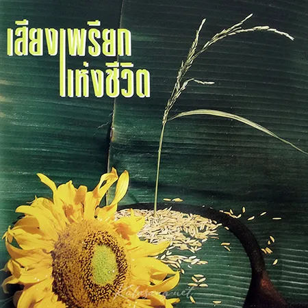 Cover.webp
