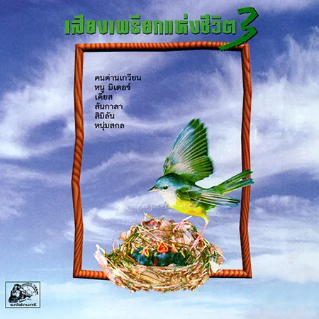 Cover.webp