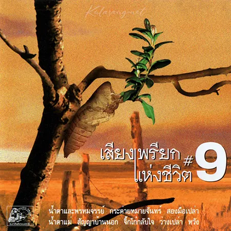 Cover.webp