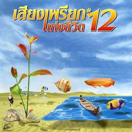 Cover.webp