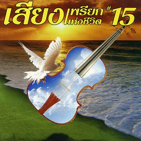 Cover.webp