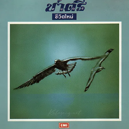 Cover.webp