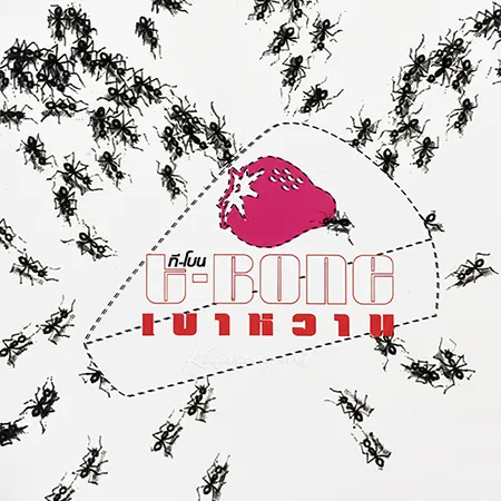 Cover.webp