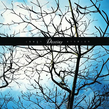 Cover.webp