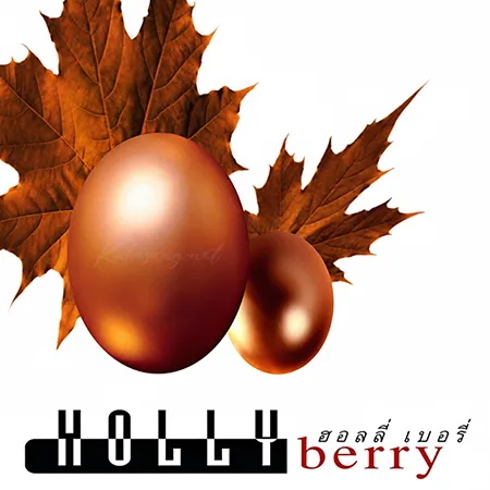 Cover.webp