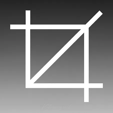 Cover.webp