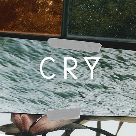 Cover.webp