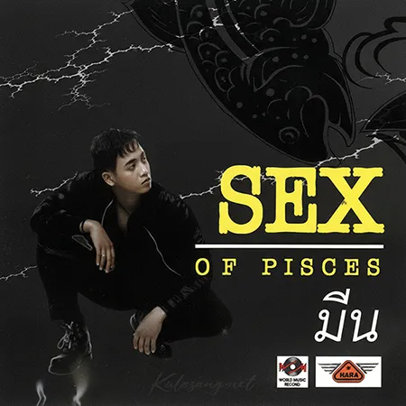 Cover.webp