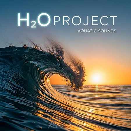 Cover.webp