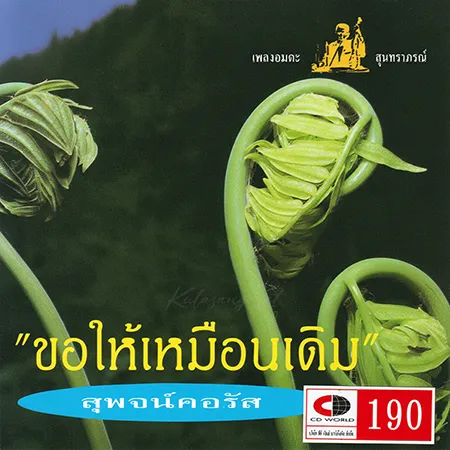 Cover.webp