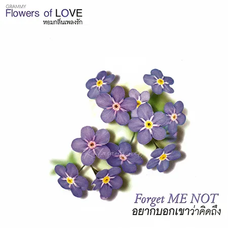 Cover.webp