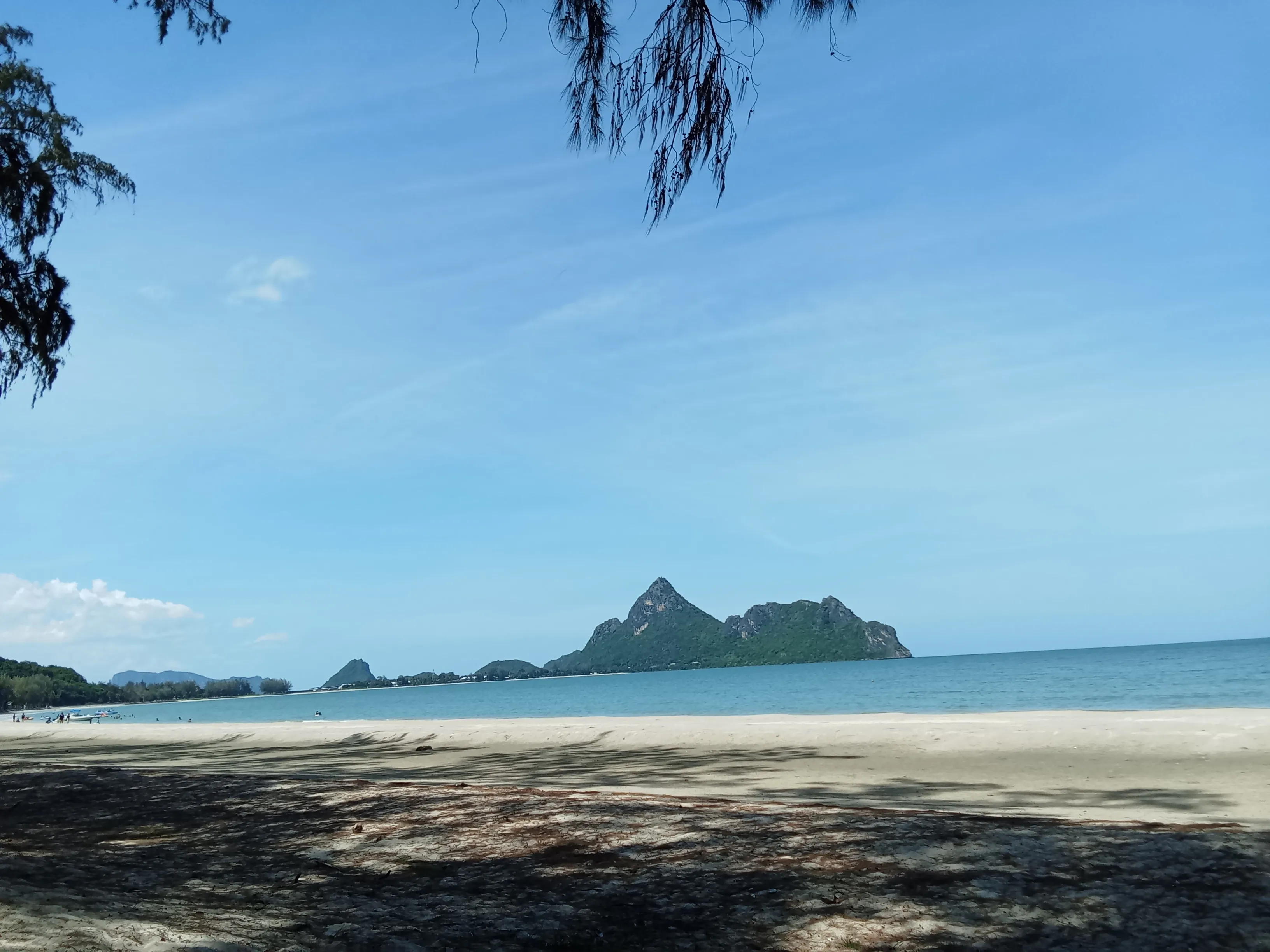 1000029602.webp