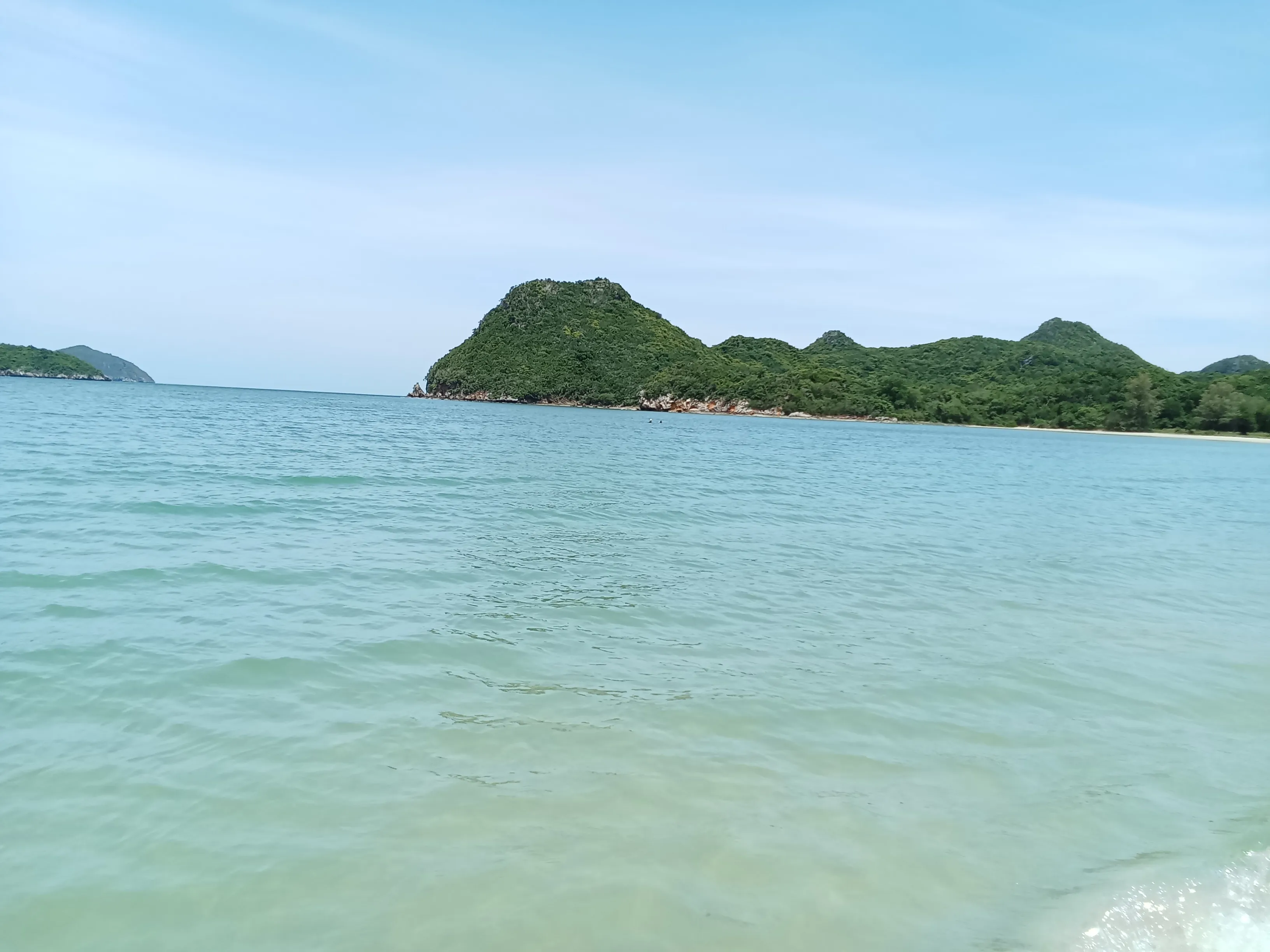 1000029580.webp
