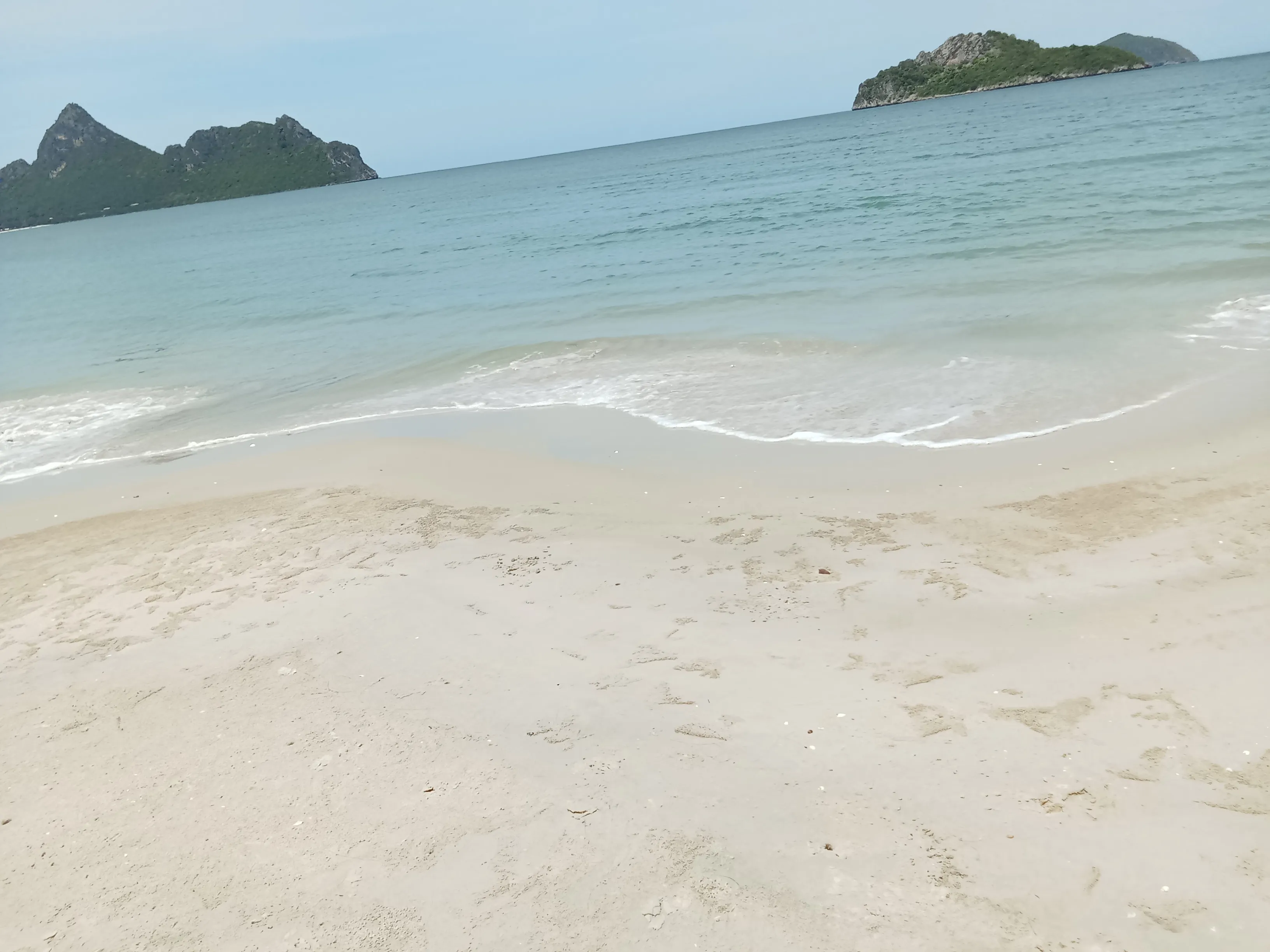 1000029592.webp