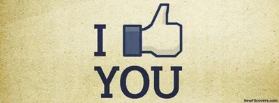 114509cy06ff77v76vp9zz.webp