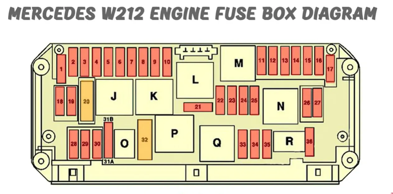 image.webp