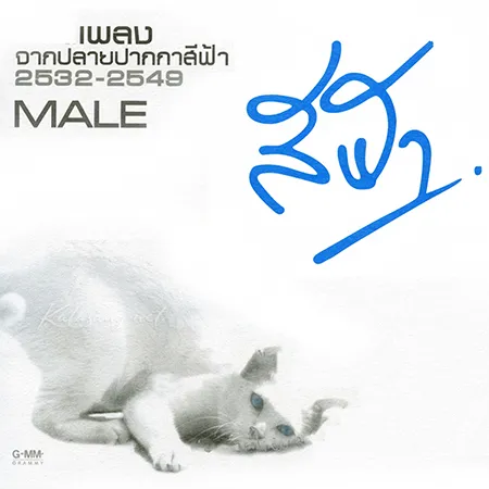Cover.webp
