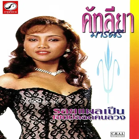 Cover.webp