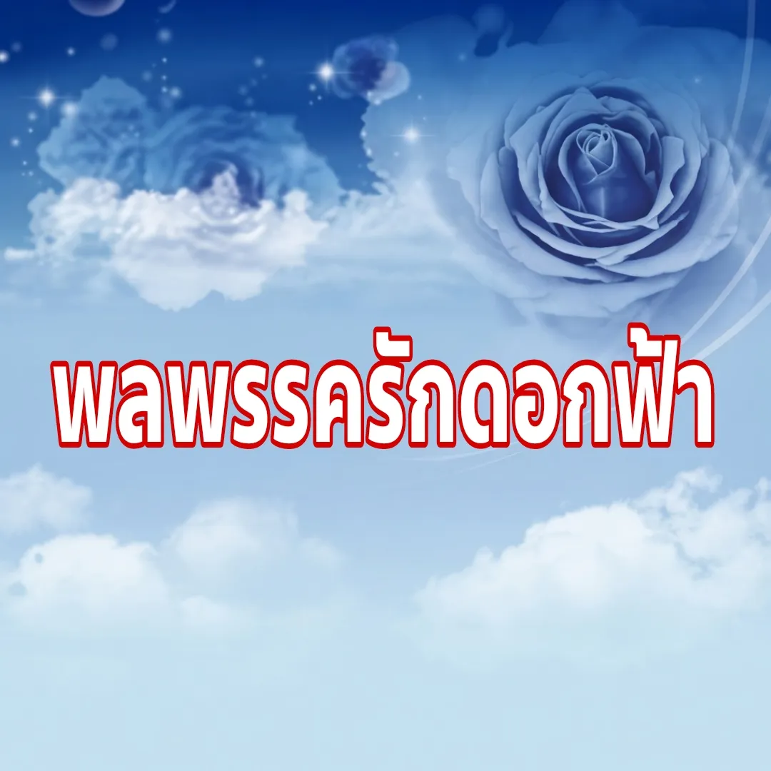 1000139333.webp