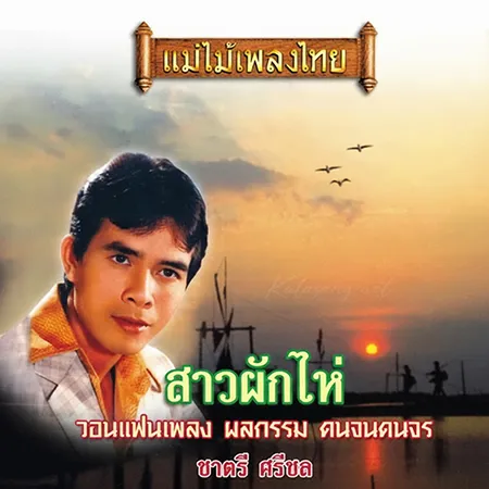 Cover.webp