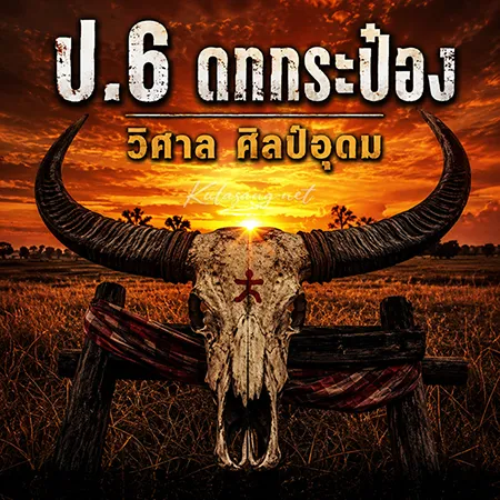 Cover.webp
