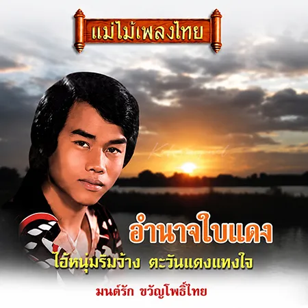 Cover.webp