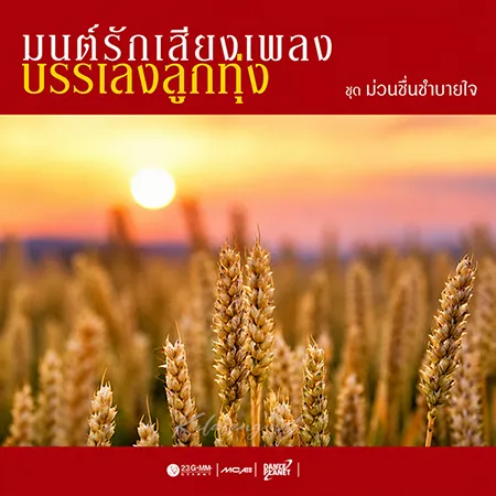 Cover.webp