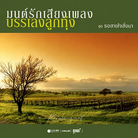 Cover.webp