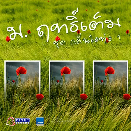 Cover.webp