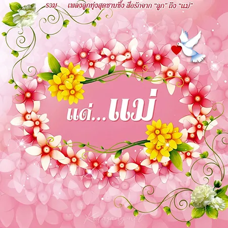 Cover.webp