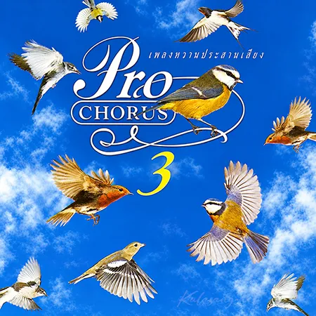 Cover.webp