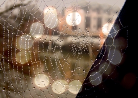 ภาพถ่ายธรรมดาที่มาพร้อมแสงและเงา