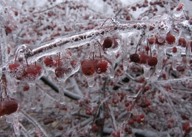 Wallpapers Of Tribal Juju 68