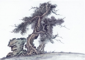 ภาพวาดภู่กันจีน สวยงามมาก ชุด ต้นไม้ และหินผา 2