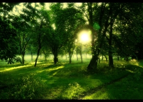 เหนื่อยมาหนัก..พักสายตากับวิวสวยๆดีกว่า