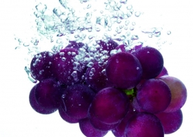 Fruits - Cake HQ Wallpapers 3