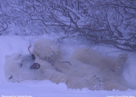 National Geographic Wallpapers Collection 2005 -6