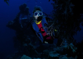 30 Deep Sea Animal Wallpapers